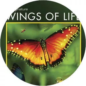 Wings of Life