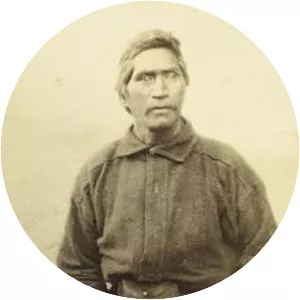 Wiremu Tamihana