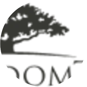 WisdomTree Investments