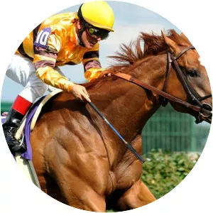 Wise Dan - 