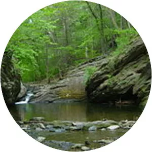 Wissahickon Creek