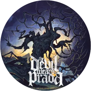 With Roots Above and Branches Below