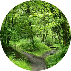 Witkowice Park Kraków - 