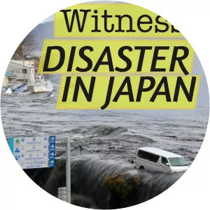Witness: Disaster in JapanSince 2011