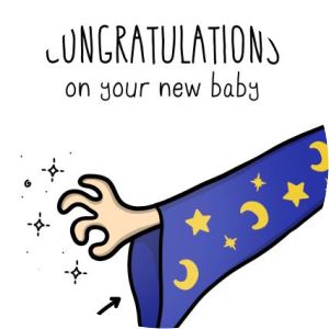 ryan pollie wizard sleeve