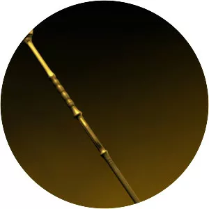 Wizard Staff