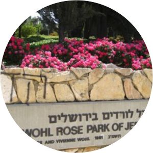 Wohl Rose Park