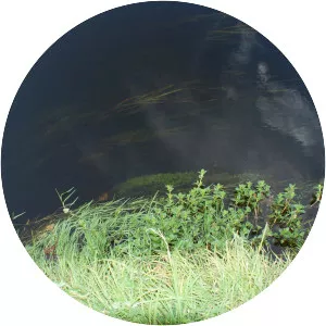 Wołczenica - River in Poland