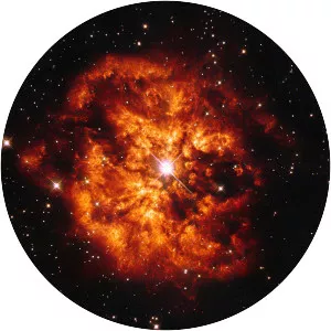 Wolf–Rayet star - 