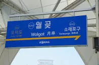Wolgot station