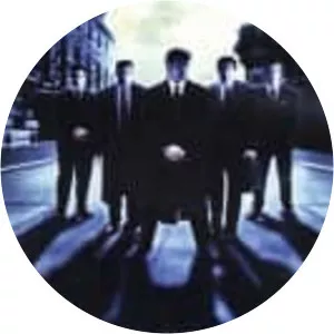 Wolves of Wall Street