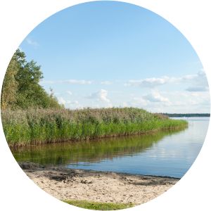 Wolziger See - Lake in Germany