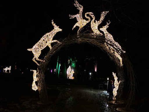 WOMED Therapiezentrum Kinderwunsch GmbH