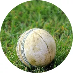 Women's T20 Cricket - TV program