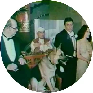 Won Ton Ton, the Dog Who Saved Hollywood