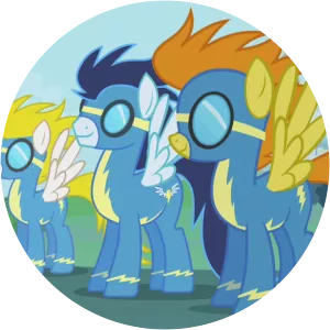 Wonderbolts - 