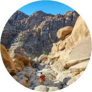 Wonderland of Rocks - 