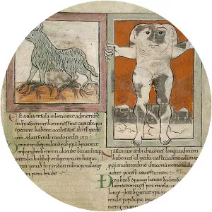 Wonders of the East - Book