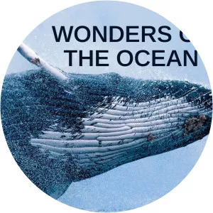 Wonders of the OceanSince 2020