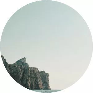 Wonki - Musical band