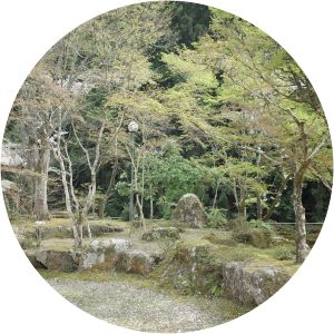 WOOD DESIGN PARK Okazaki Himen