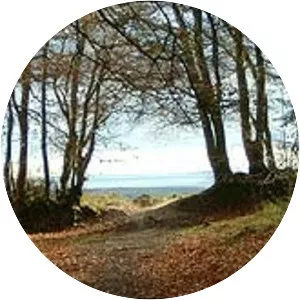 Woodbury Common, Devon - 