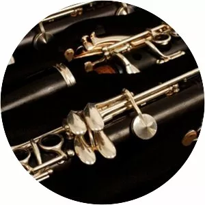 Woodwinds - Musical instrument