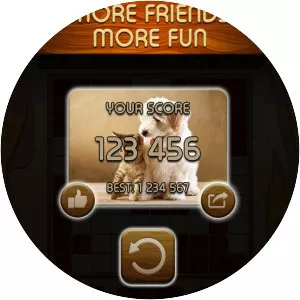 Woody Block Puzzle ® - Video game