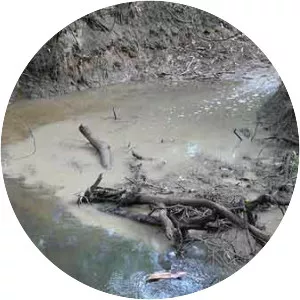 Woori Yallock Creek - Tributary in Australia
