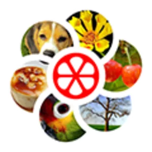 Word Rings - Video game