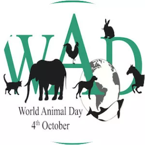 World Animal Day