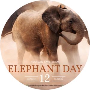 World Elephant Day