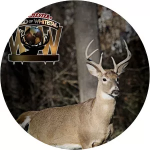 World of Whitetail - TV program