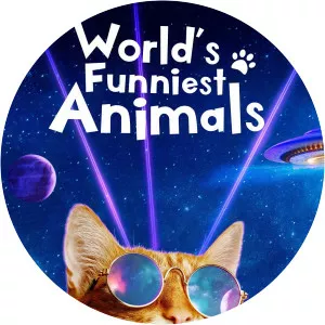 World's Funniest AnimalsSince 2020