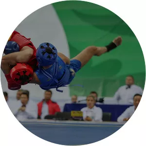 World Wushu Championships - 