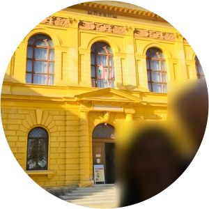 Wosinsky Mór County Museum