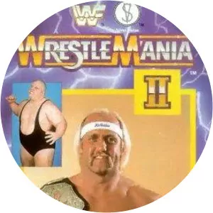 WrestleMania 2 - April 7, 1986