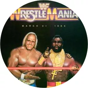 WrestleMania I - March 31, 1985