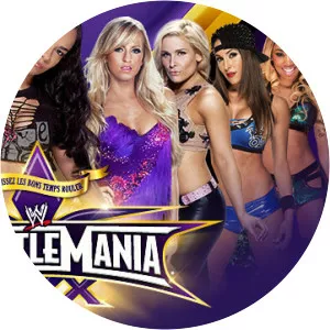 Wrestle Mania XXX - April 6, 2014