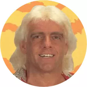 WrestleWar - Television show