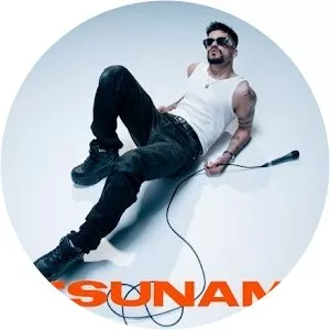 wrs - Musical artist