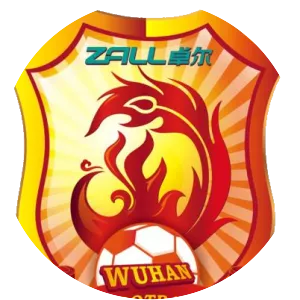 Wuhan Zall F. C. - Football club
