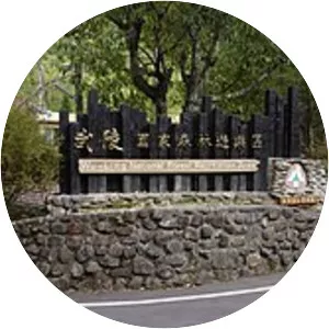 Wuling National Forest Recreation Area - 