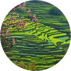 Wuyuan County, Jiangxi