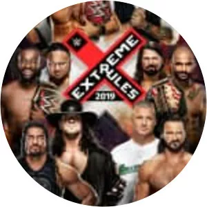 WWE Extreme Rules photograph