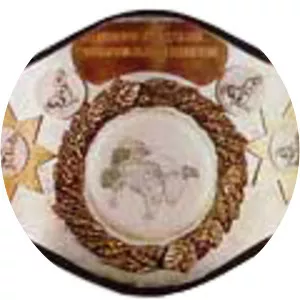 WWF North American Heavyweight Championship - Sports league championship