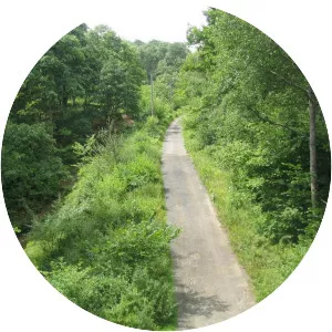 Wyre Forest District