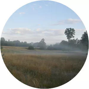 Wyżyna Wieluńska - 