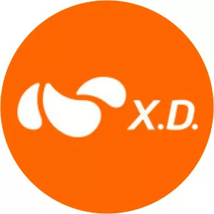 X.D. Network Inc.