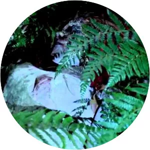 X Moor - 2014 ‧ Horror ‧ 1h 16m